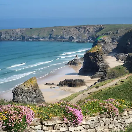 Shore * New Quay