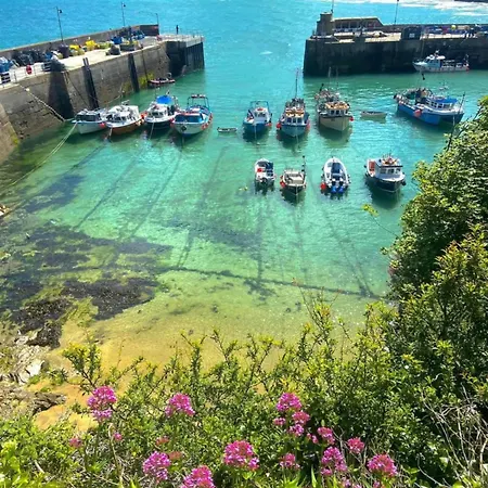 Shore New Quay